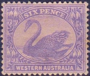 Colnect-5565-645-Black-Swan-Cygnus-atratus.jpg