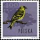 Colnect-2091-709-Eurasian-Siskin-Carduelis-spinus.jpg