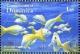 Colnect-3254-716-Bluestripe-Snapper-Lutjanus-kasmira.jpg
