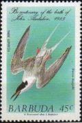 Colnect-2056-916-Roseate-Tern-Sterna-dougallii.jpg