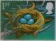 Colnect-122-731-Thrush-s-Nest.jpg