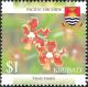 Colnect-2598-427-Vanda-hindsii.jpg