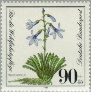 Colnect-153-269-Water-lobelia.jpg