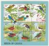 Colnect-1459-823-Birds-of-Ghana---Mini-Sheet-with-MiNo-2020-31.jpg