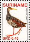 Colnect-3837-104-Spotted-Rail%C2%A0%C2%A0%C2%A0%C2%A0Pardirallus-maculatus.jpg